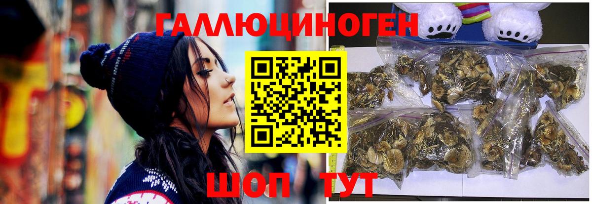 Псилоцибиновые грибы прущие грибы Ишим