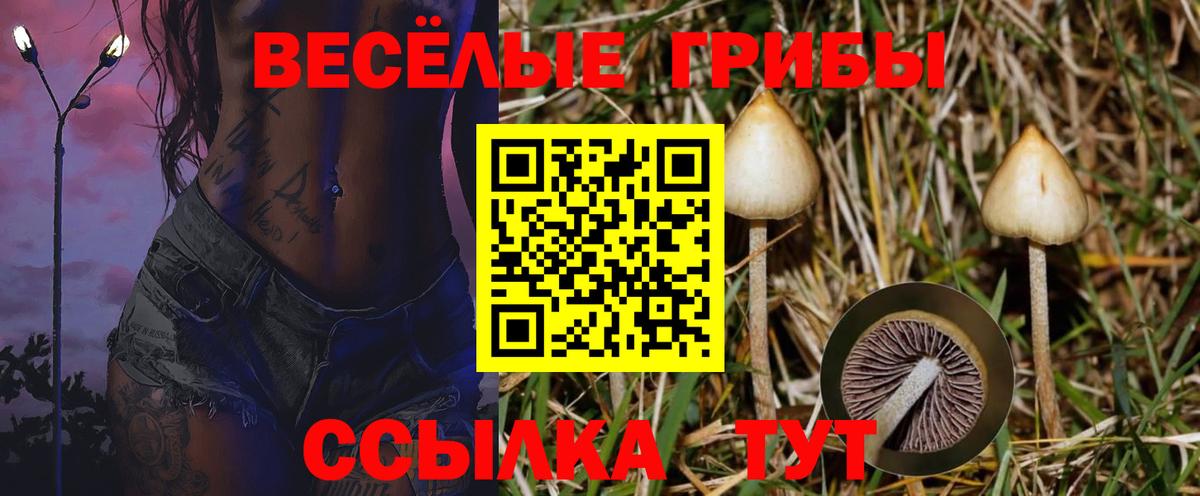 Галлюциногенные грибы прущие грибы  Вход с VPN  Ишим 